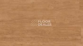 Кварцвиниловые полы Gerflor Creation 70 0262 Elm фото 1 | FLOORDEALER
